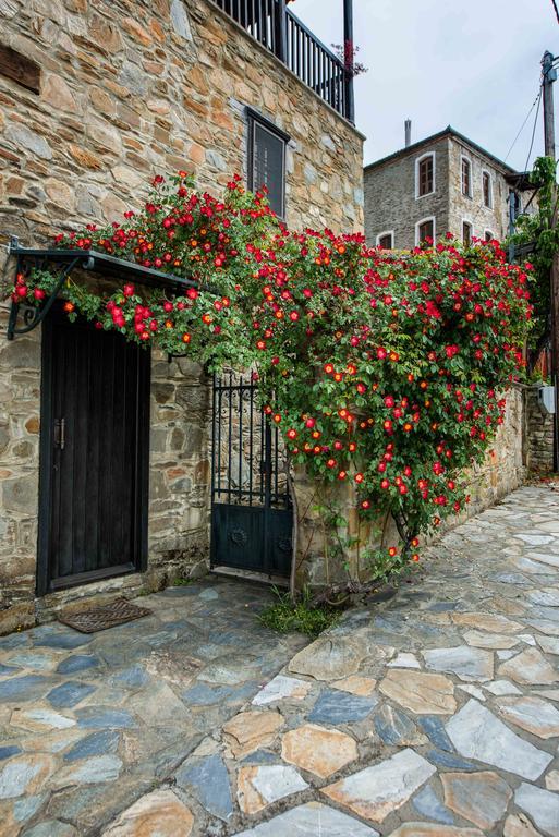 Mulberry House Villa Sithonia Dış mekan fotoğraf